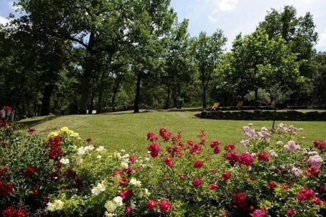 Une partie du parc.